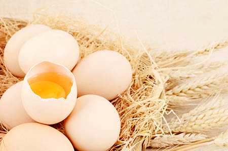 济南供卵试管坚坤和_母乳性黄疸的危害